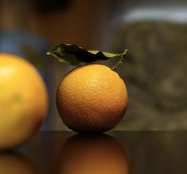 橘子有多少個品種什么桔子好吃(橘子有多少種?)