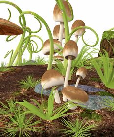 柑橘真菌病害比圖片(柑橘腐爛長出的真菌是什么)