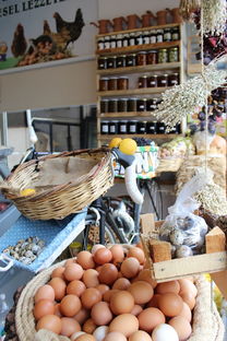 柑橘商品有機肥應施多少斤（柑橘專用有機肥料）