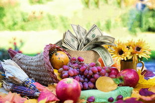 柑桔修剪圖解大全:手把手教你高效修剪技巧與步驟解析