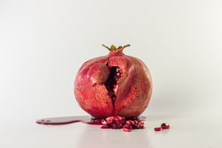 正宗紅美人柑橘樹苗直播：果農直供現挖現發，保真帶土帶根包郵到家