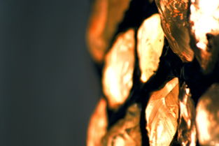 2023-2024年全球柑橘市場現(xiàn)狀與發(fā)展趨勢深度解析PPT