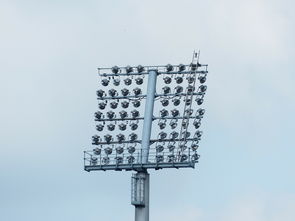 柑橘烏云為什么叫please？揭秘其命名背后的趣味故事與語言梗