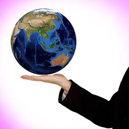 彭老師講柑橘：從栽培技巧到豐收秘訣的實用知識全解析