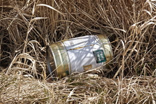 柑橘烏云香水愛馬仕:當(dāng)清新果香碰撞暗夜氣息,解碼頂級調(diào)香藝術(shù)