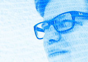 柑桔黃化病怎么治？科學防治方法與日常管理要點解析