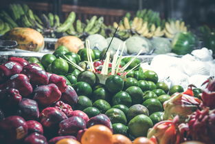 本地柑橘苗價格走勢解析：市場行情與選購指南