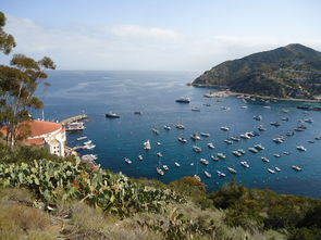 中國柑橘分布地區：主要產區及地域特征解析