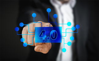 紅美人柑橘樹苗浙江象山抗寒嗎？解析品種特性與抗寒栽培要點(diǎn)