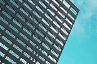 東洋光柑橘市場前景如何？深度解析消費趨勢與投資潛力分析