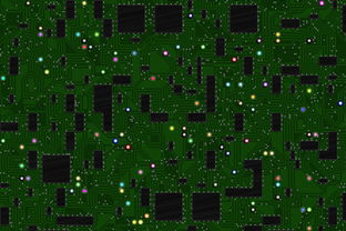 全國柑橘苗木調運信息查詢系統上線:實時追蹤苗木調運動態