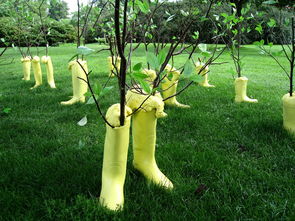 【抖音爆款來襲】愛媛果凍橙團(tuán)購特惠!爆汁甜蜜新鮮直達(dá),手慢無!