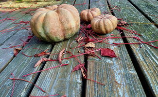 柑橘畝產多少？關鍵影響因素解析與科學增產方案探討