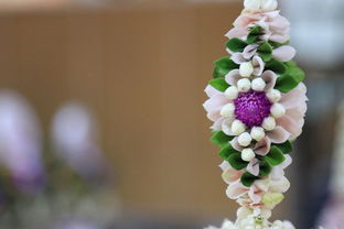 柑桔修剪技術(shù)試頻講解:手把手教學(xué)與分步操作要點(diǎn)解析