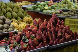 2023年世紀紅柑橘苗價格表最新市場行情全面解析