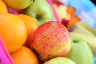 柑橘脫毒苗怎么培育出來(lái)？詳細(xì)步驟與技術(shù)要點(diǎn)解析