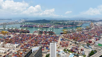 中國柑橘出口現狀、問題及策