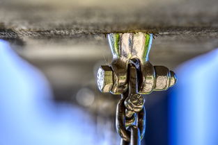 2023-2024年091柑橘市場分析：供需動態、區域競爭與未來趨勢深度解析