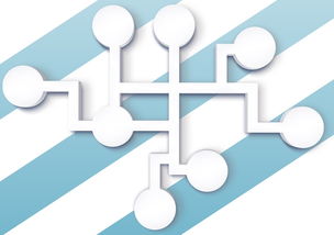 柑橘樹管理方法技術的科學實踐與高效管理策略