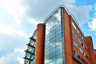 中國柑橘產業(yè)轉型升級與高質量發(fā)展路徑探析