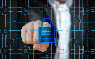 柑桔苗床用什么原木比較好？科學選材與養護技巧解析