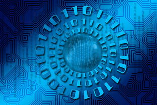 柑橘研究程度的全球現(xiàn)狀分析與未來發(fā)展方向探索