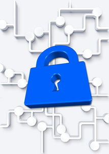 四川眉山柑橘樹苗出售｜優(yōu)質(zhì)品種產(chǎn)地直供，量大可享專屬優(yōu)惠