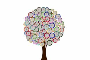 怎樣修剪柑橘樹：掌握正確修剪方法與最佳時間安排