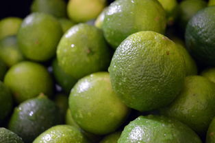 好景1號柑橘穗條圖片大全：高清圖集與優質品種特性解析