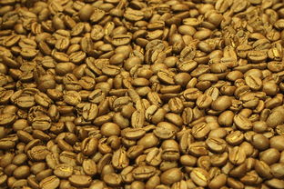 佛手柑怎么長期保存？掌握這幾種方法讓新鮮持久不腐壞