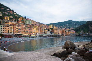 柑食用方法有哪些？全面解析多樣吃法與健康搭配技巧