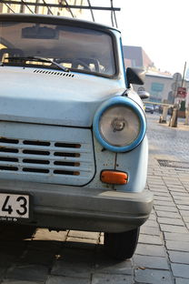 2023年沃柑基地最新信息：豐收動態(tài)與技術(shù)升級全面解析