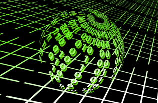 柑橘木虱關鍵防治時期解析：科學防治策略與最佳時機探析