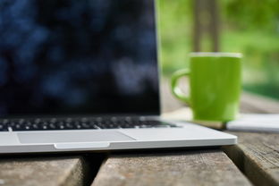 好景1號和川津1號那個好？深度對比評測與選購指南