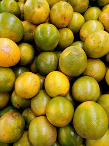 四川眉山柑橘事件：果農滯銷困境折射中國農產品供應鏈隱憂