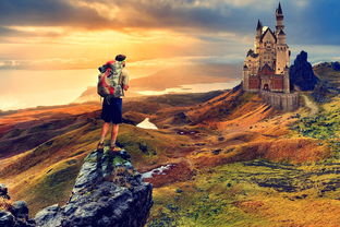 2023年桂林柑橘苗價走勢分析：市場動態與種植成本全解析