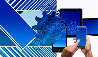 基于全產業鏈的柑橘生產管理基礎體系構建與優化研究