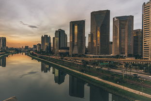 2023年全國產區柑橘最新價格行情走勢分析及市場前景預測