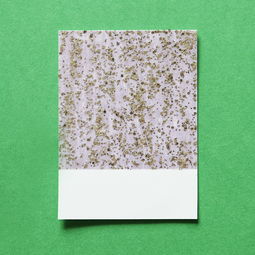 柑橘烏云歌詞完整復制：完整版歌詞及創作背景深度解析