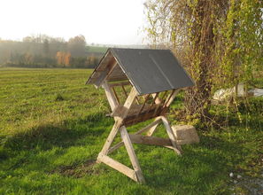 豐產村柑橘基地豐收圖景：科技興農繪就鄉村振興新畫卷