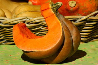 柑果球有哪些？全面解析柑果球種類與用途