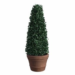 柑橘十大修剪口訣全解析：掌握技巧助果樹高產優質