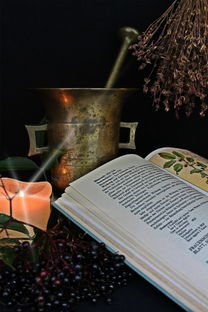 廣西甘草柑橘：自然饋贈(zèng)的甘甜滋味