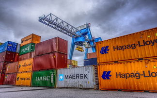 明日見柑橘多少錢一斤今年就近幾天價？最新市場行情速遞與價格走勢分析