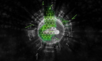 柑橘烏云網(wǎng)易云播放器：解鎖你的專屬音樂情緒空間