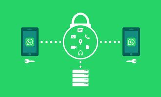 小青柑存放要加密封袋嗎？關鍵保存要點與注意事項解析