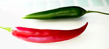 川津五號(hào)沃柑：果香濃郁、甜蜜爆汁的優(yōu)質(zhì)新品種推薦