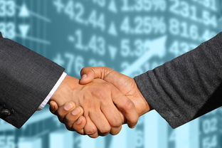 有關沃柑文案創作指南:解鎖春日果香營銷的10個靈感方向