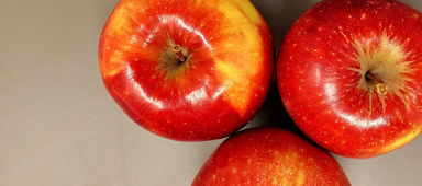 早熟柑橘新品種哪個好吃?果農實測推薦與口感對比指南