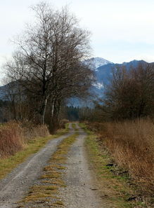 萬畝柑橘基地航拍圖：俯瞰金秋豐收的生態農業壯景